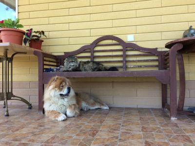 Прикрепленное изображение: IMG_0736 2.jpeg